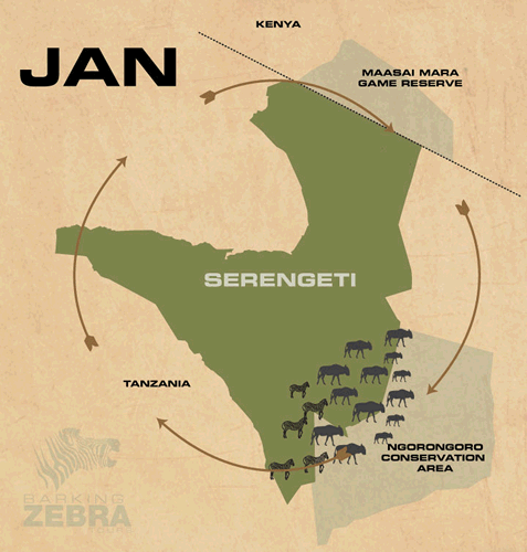 Serengeti Migration Map Serengeti Great Migration Map