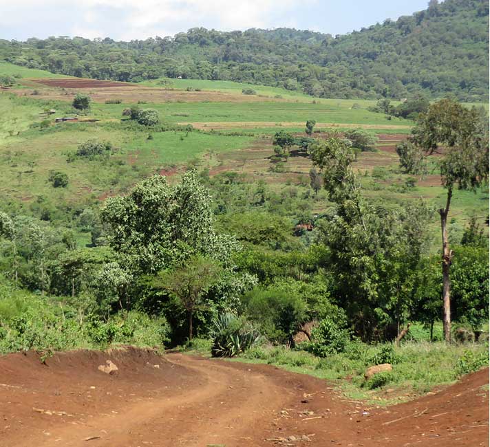 Kilimanjaro Cultivated Areas Kilimanjaro Climate Zone Cultivated Areas