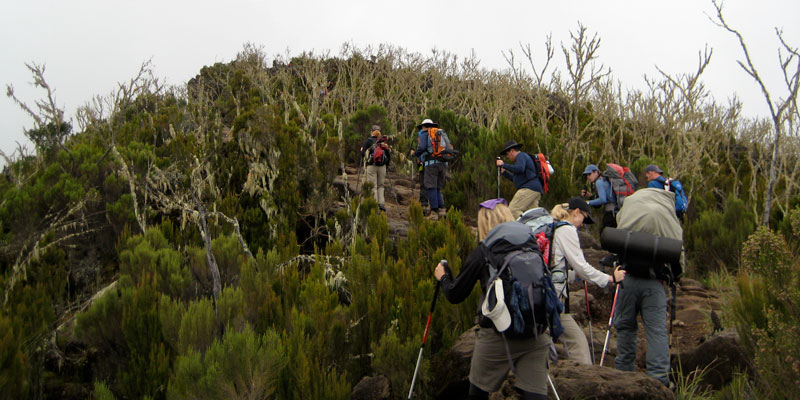 Kilimanjaro Treks | Machame Route | The Best Route on Kilimanjaro