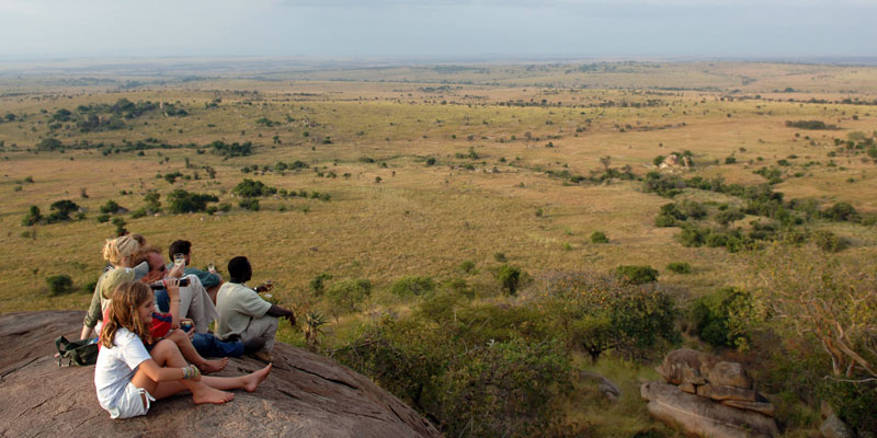 View of the Serengeti from kopjes