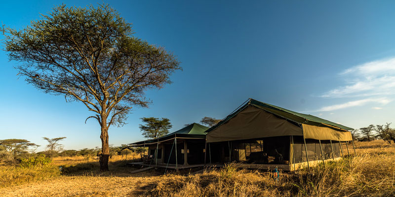 Angata Serengeti Camp | Seronera Camp Serengeti | Safari Serengeti